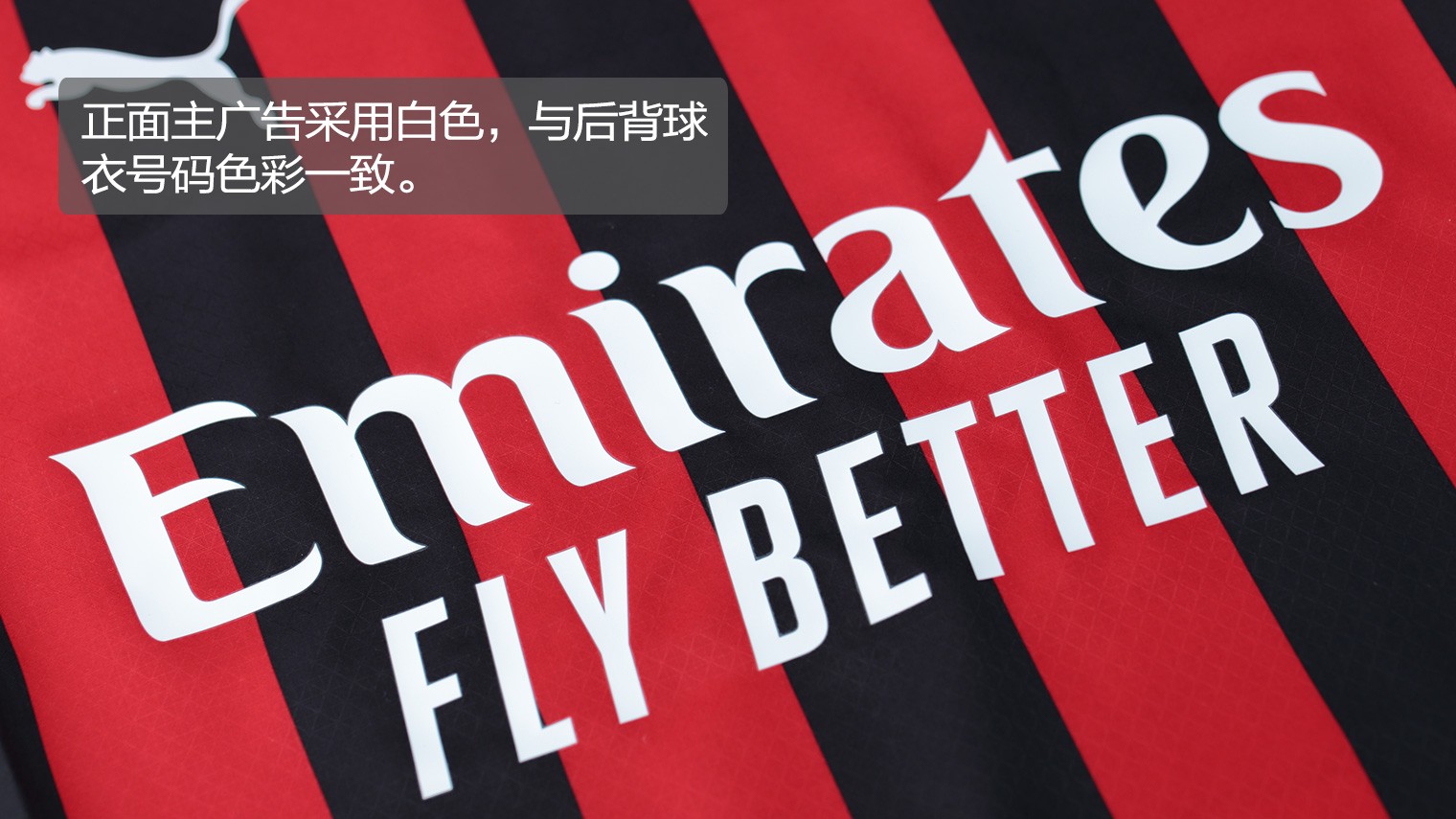 特瓦斯：有人指责我反皇马让我很受伤，我是最坚定的皇马球迷（特瓦斯：遭指责反皇马令我倍感受伤，我是皇马的铁杆球迷）